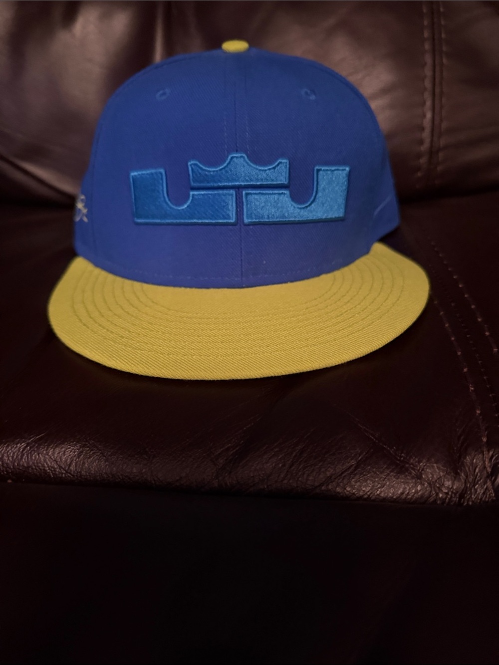 LeBron James Nike Hat